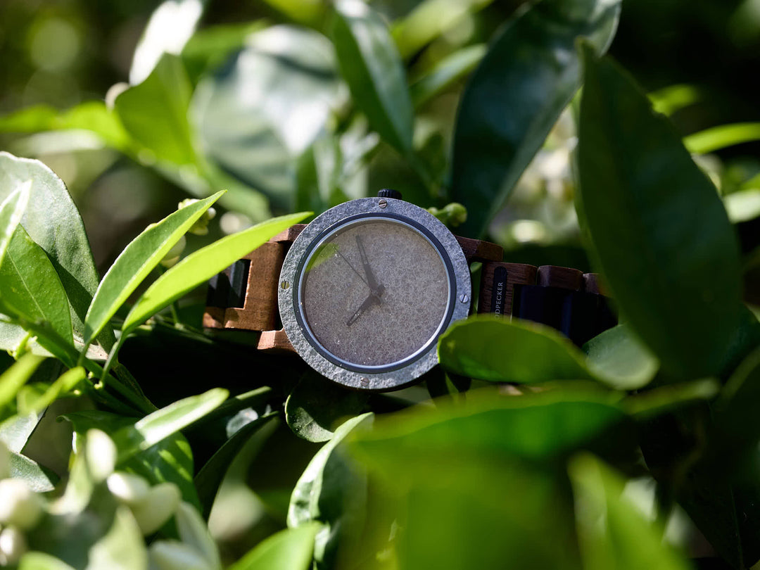 Zacharius - Steen & Walnoot