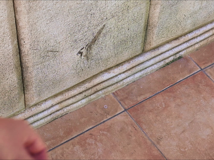 Dante - Rood Sandelhout & Ebbenhout