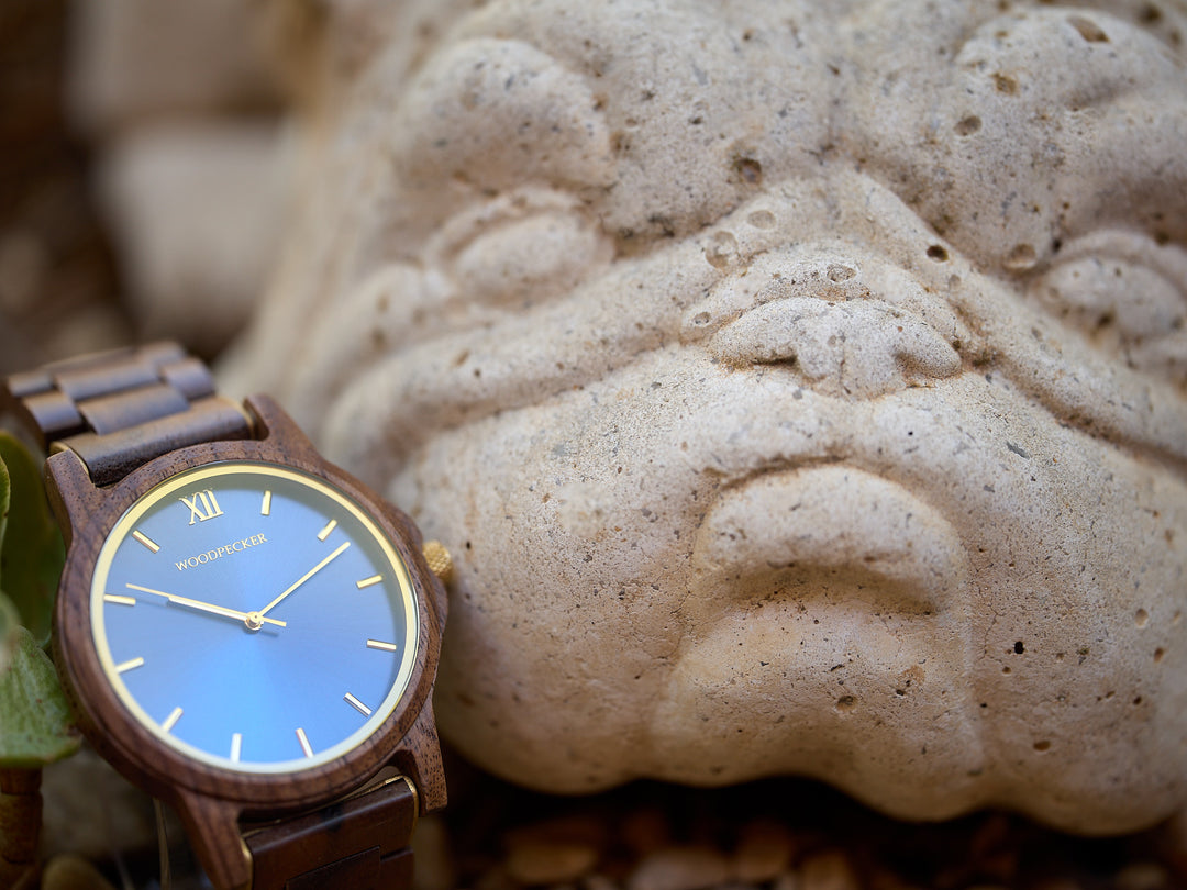 <tc>Midas - Walnoot</tc>